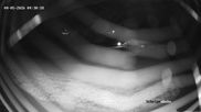 Archived webcam image showing Balderschwang on 4 May 2026 at 04:00