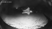 Archived webcam image showing Balderschwang on 10 Oct 2026 at 22:48