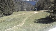 Archived webcam image showing Stümpfling ski slope on 12 Jul 2026 at 14:37