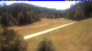 Archived webcam image showing Holiday lodge Carola, Hinterzarten on 4 Jul 2026 at 12:51