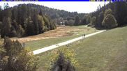 Archiviertes Webcam Bild: Ferienhaus Carola, Hinterzarten am 20.09.2026 um 12:47 Uhr