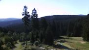 Archiviertes Webcam Bild: Oberhof: Alte Golfwiese am 12.07.2026 um 08:04 Uhr