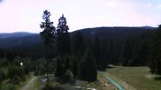 Archiviertes Webcam Bild: Oberhof: Alte Golfwiese am 12.07.2026 um 10:04 Uhr