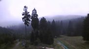 Archiviertes Webcam Bild: Oberhof: Alte Golfwiese am 26.08.2026 um 12:09 Uhr