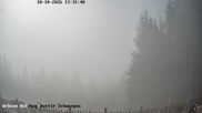 Archiviertes Webcam Bild: Rohrkopfhütte am Tegelberg am 18.10.2026 um 14:08 Uhr