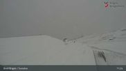 Archiviertes Webcam Bild: Brigels: Alp Dado am 24.10.2026 um 11:42 Uhr