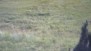 Archived webcam image showing Stockhütte on 18 May 2026 at 04:41