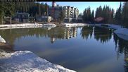Archiviertes Webcam Bild: Blick auf Brewer´s Pond am 05.05.2026 um 16:44 Uhr