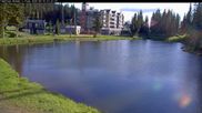 Archived webcam image showing Brewer´s Pond Cam on 16 Jun 2026 at 16:28