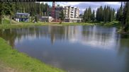 Archived webcam image showing Brewer´s Pond Cam on 16 Jun 2026 at 18:28
