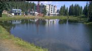 Archiviertes Webcam Bild: Blick auf Brewer´s Pond am 26.08.2026 um 20:09 Uhr