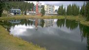 Archived webcam image showing Brewer´s Pond Cam on 15 Sep 2026 at 00:08