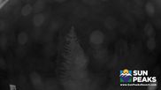 Archived webcam image showing Sun Peaks - View Mt. Tod on 27 Jul 2026 at 10:08
