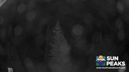 Archived webcam image showing Sun Peaks - View Mt. Tod on 27 Jul 2026 at 12:08