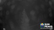 Archived webcam image showing Sun Peaks - View Mt. Tod on 7 Aug 2026 at 10:05