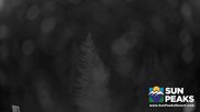 Archived webcam image showing Sun Peaks - View Mt. Tod on 11 Aug 2026 at 10:45