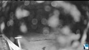 Archived webcam image showing Lodge Cam on 25 May 2026 at 10:02
