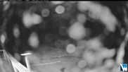 Archived webcam image showing Lodge Cam on 11 Jun 2026 at 10:43
