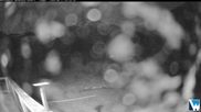 Archived webcam image showing Lodge Cam on 17 Jun 2026 at 12:33