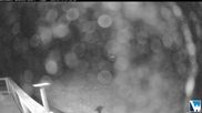 Archived webcam image showing Lodge Cam on 12 Jul 2026 at 10:08