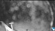 Archived webcam image showing Lodge Cam on 12 Jul 2026 at 12:08