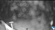 Archived webcam image showing Lodge Cam on 10 Aug 2026 at 12:34