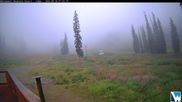 Archiviertes Webcam Bild: Whitewater Lodge am 30.08.2026 um 16:28 Uhr