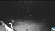 Archived webcam image showing Lodge Cam on 9 Sep 2026 at 12:59