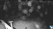 Archived webcam image showing Lodge Cam on 9 Oct 2026 at 12:45