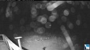 Archived webcam image showing Lodge Cam on 9 Oct 2026 at 14:45