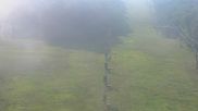Archived webcam image showing Rocket Triple chairlift on 6 Aug 2026 at 22:23