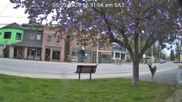 Archived webcam image showing View of the main street in Old Forge on 23 May 2026 at 12:53