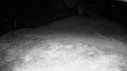 Archived webcam image showing Manzanita Chair top on 18 Aug 2026 at 14:53
