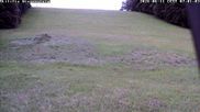 Archived webcam image showing Wiesensteig Slope on 11 Jun 2026 at 07:15