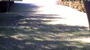 Archived webcam image showing Wiesensteig Slope on 15 Jun 2026 at 08:17