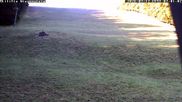Archived webcam image showing Wiesensteig Slope on 12 Jul 2026 at 07:43