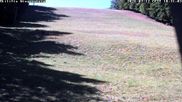 Archived webcam image showing Wiesensteig Slope on 12 Jul 2026 at 10:43