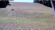 Archived webcam image showing Wiesensteig Slope on 12 Jul 2026 at 12:43