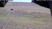 Archived webcam image showing Wiesensteig Slope on 12 Jul 2026 at 14:43