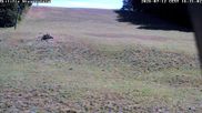 Archived webcam image showing Wiesensteig Slope on 12 Jul 2026 at 16:43