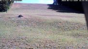 Archived webcam image showing Wiesensteig Slope on 12 Jul 2026 at 18:00
