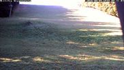 Archived webcam image showing Wiesensteig Slope on 5 Aug 2026 at 08:51