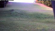 Archiviertes Webcam Bild: Wiesensteig Piste am 15.08.2026 um 08:51 Uhr