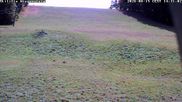 Archiviertes Webcam Bild: Wiesensteig Piste am 15.08.2026 um 14:51 Uhr