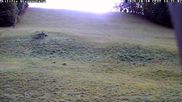 Archived webcam image showing Wiesensteig Slope on 10 Oct 2026 at 14:42