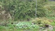 Archived webcam image showing Bärenfels - Snowcam on 7 May 2026 at 12:14