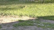Archiviertes Webcam Bild: Bärenfels im Osterzgebirge: Schneehöhe am 28.05.2026 um 07:15 Uhr