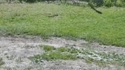 Archiviertes Webcam Bild: Bärenfels im Osterzgebirge: Schneehöhe am 28.05.2026 um 12:15 Uhr