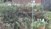 Archived webcam image showing Bärenfels - Snowcam on 5 Oct 2026 at 07:05