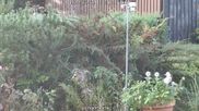 Archived webcam image showing Bärenfels - Snowcam on 5 Oct 2026 at 08:05